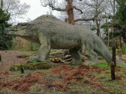 IMG_20190107_102236.jpg IMG_20190107_102236.jpg