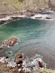 6768F58C-2F91-49D8-B253-66135586D263.jpeg 6768F58C-2F91-49D8-B253-66135586D263.jpeg