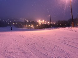 256DC392-59D0-4BB3-BD44-41BD2150F063.jpeg 256DC392-59D0-4BB3-BD44-41BD2150F063.jpeg