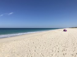 AF7AB416-DB6C-427C-9E8E-A462BF5D3009.jpeg AF7AB416-DB6C-427C-9E8E-A462BF5D3009.jpeg