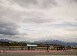 20190107- Ant-12.jpg 20190107- Ant-12.jpg