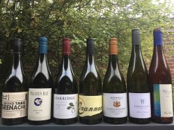 pegasus.jpg pegasus.jpg