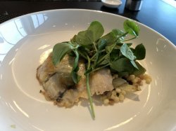 IMG_3213.JPG IMG_3213.JPG