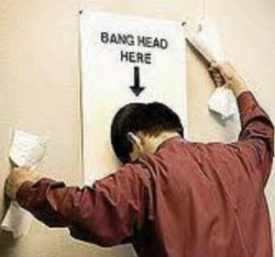 0D4ED217-D53A-4915-956C-3B205B326539.jpeg 0D4ED217-D53A-4915-956C-3B205B326539.jpeg