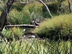 IMG20190119100941 - Copy.jpg IMG20190119100941 - Copy.jpg