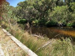 IMG20190119102737 - Copy.jpg IMG20190119102737 - Copy.jpg