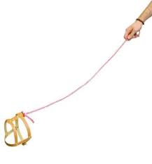 images.jpeg images.jpeg