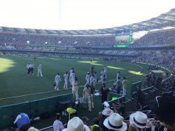 1EB0BA19-1BEE-49D5-AC09-2B2DB0895658.jpeg 1EB0BA19-1BEE-49D5-AC09-2B2DB0895658.jpeg