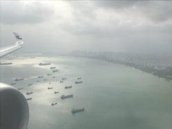 1FCEFA32-5714-470C-B779-1CB399AEEB05.jpeg 1FCEFA32-5714-470C-B779-1CB399AEEB05.jpeg