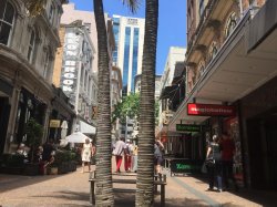 IMG_1210.JPG IMG_1210.JPG