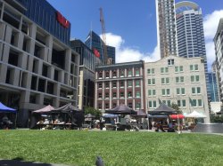 IMG_3476.JPG IMG_3476.JPG