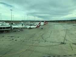 5E625E5B-0A22-4FB0-B09E-6347154110DE.jpeg 5E625E5B-0A22-4FB0-B09E-6347154110DE.jpeg