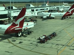 4E453B33-B467-4FC1-BF46-CFC06C665788.jpeg 4E453B33-B467-4FC1-BF46-CFC06C665788.jpeg