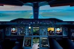 _D804844.jpg _D804844.jpg