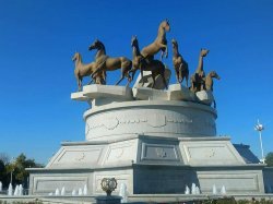 horses.jpg horses.jpg