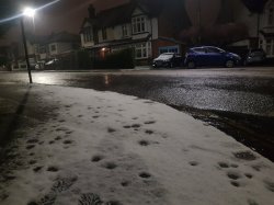 2019-02-01 03.59.51.jpg 2019-02-01 03.59.51.jpg