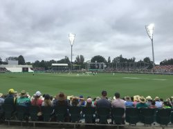 892F324C-1A48-484D-895D-D5A2D1079546.jpeg 892F324C-1A48-484D-895D-D5A2D1079546.jpeg