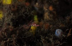 Screenshot_20190203-220145_Facebook.jpg Screenshot_20190203-220145_Facebook.jpg