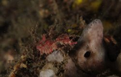 Screenshot_20190203-220207_Facebook.jpg Screenshot_20190203-220207_Facebook.jpg