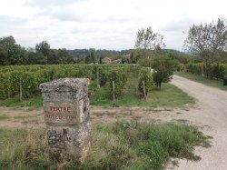 PA140734.JPG PA140734.JPG