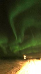 IMG_2655.JPG IMG_2655.JPG