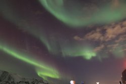 IMG_2957 (1).JPG IMG_2957 (1).JPG