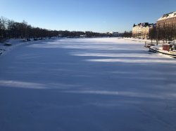 IMG_3001.JPG IMG_3001.JPG