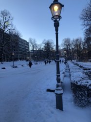 IMG_3053.JPG IMG_3053.JPG