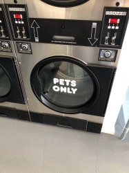 Pets Laundrette.jpg Pets Laundrette.jpg