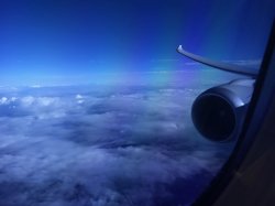 IMG_7331.jpg IMG_7331.jpg