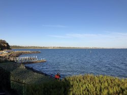 Resize of IMG_1742.JPG Resize of IMG_1742.JPG