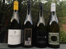 dogpoint.jpg dogpoint.jpg