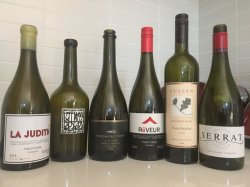 4210EFB3-5954-4A93-82CD-C1C11C8B981F.jpeg 4210EFB3-5954-4A93-82CD-C1C11C8B981F.jpeg