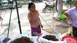 2016-06-14 10.08.40.jpg 2016-06-14 10.08.40.jpg