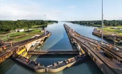 FBL29A.jpg FBL29A.jpg