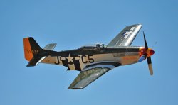 bPOF_0981.jpg bPOF_0981.jpg