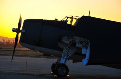 cPOF_0438.jpg cPOF_0438.jpg