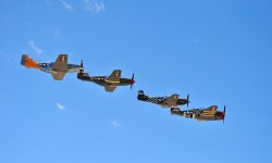 dPOF_0695.jpg dPOF_0695.jpg