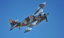 dPOF_2076.jpg dPOF_2076.jpg