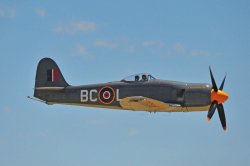 henry 2.jpg henry 2.jpg