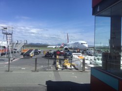 3A99E6C4-A0AE-474A-804F-3DA488D4A4AF.jpeg 3A99E6C4-A0AE-474A-804F-3DA488D4A4AF.jpeg