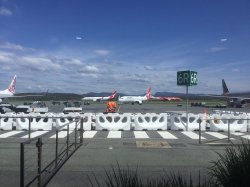 980D8B78-5A66-4988-B0E6-808F527BFC6A.jpeg 980D8B78-5A66-4988-B0E6-808F527BFC6A.jpeg