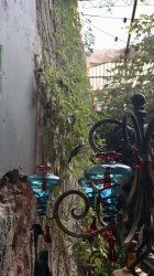 CD419839-89EC-4746-BFCC-4732C130608C.jpeg CD419839-89EC-4746-BFCC-4732C130608C.jpeg