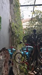 5C7CE5C2-0D1B-457B-AED3-4D7D96A994F2.jpeg 5C7CE5C2-0D1B-457B-AED3-4D7D96A994F2.jpeg