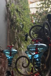 63092B9B-AAB2-46DD-BCA5-6335BE2AFB07.jpeg 63092B9B-AAB2-46DD-BCA5-6335BE2AFB07.jpeg