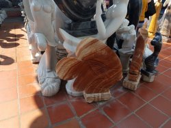 20190306_091502.jpg 20190306_091502.jpg