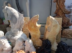 20190306_091534.jpg 20190306_091534.jpg