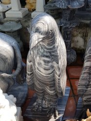 20190306_092748.jpg 20190306_092748.jpg