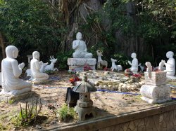 20190306_095231.jpg 20190306_095231.jpg