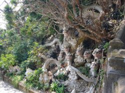 20190306_095503.jpg 20190306_095503.jpg